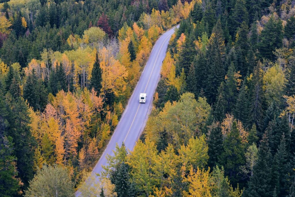 Aerial view of a winding road through autumn forest